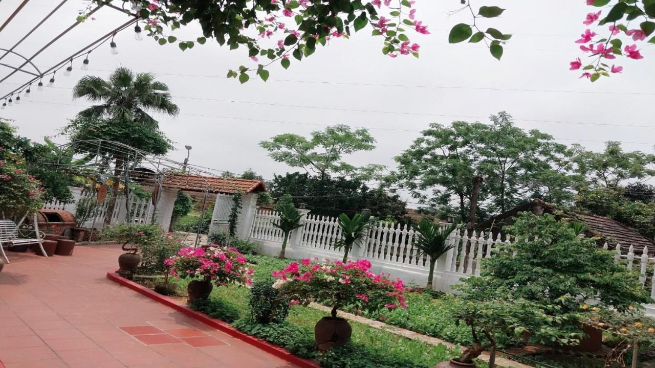 Nha Xanh Homestay 宁平 外观 照片