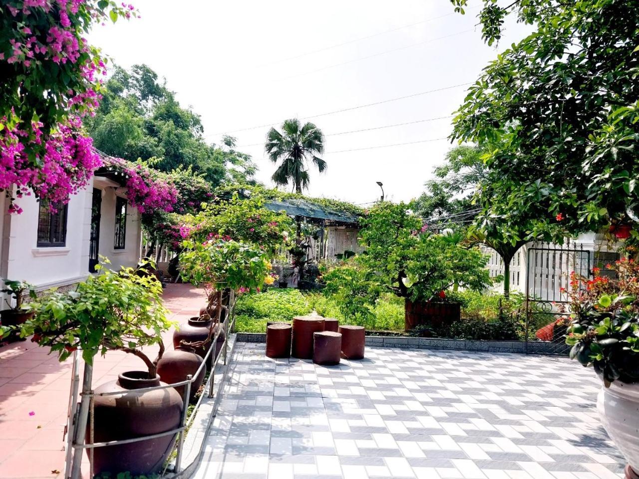 Nha Xanh Homestay 宁平 外观 照片