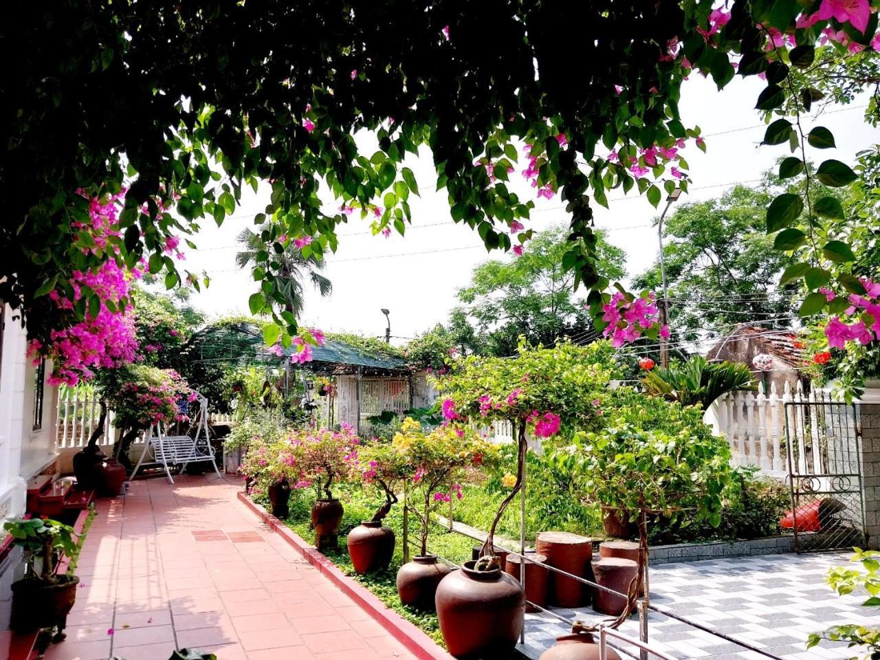 Nha Xanh Homestay 宁平 外观 照片
